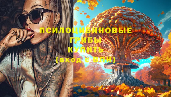 дживик Володарск