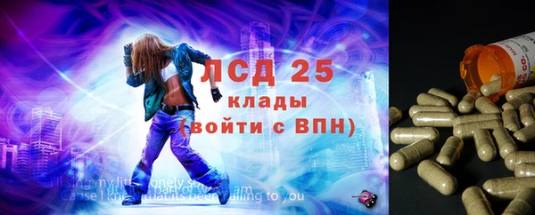 дживик Володарск
